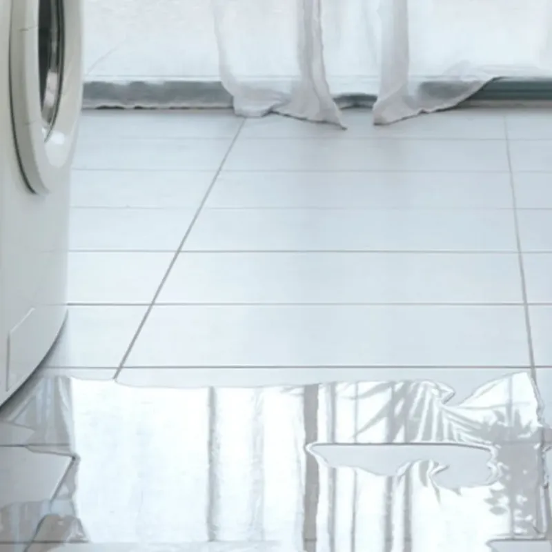 Appliance Leak Cleanup in Sewickley, PA