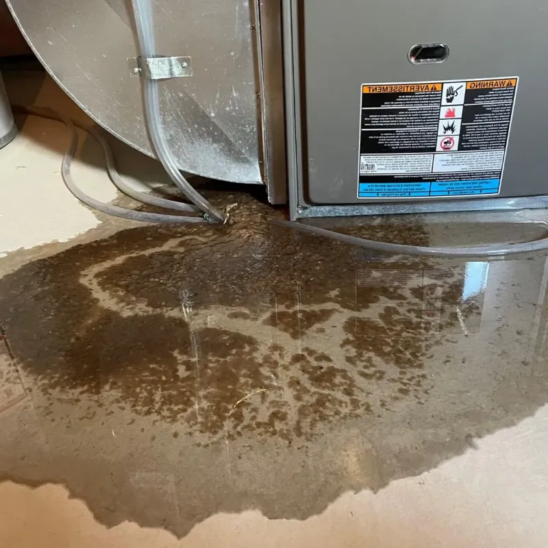 Pipe Burst and Leak Restoration in Sewickley, PA