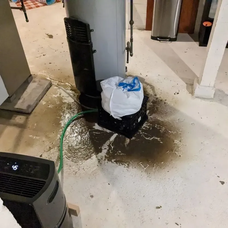 Sewage Backup Cleanup Service in Sewickley, PA